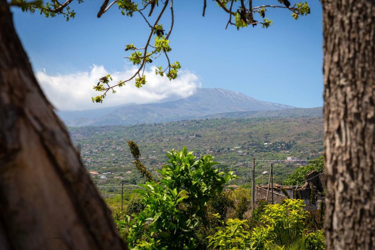Il Giardino Country Holiday With Pool Taormina Luaran gambar